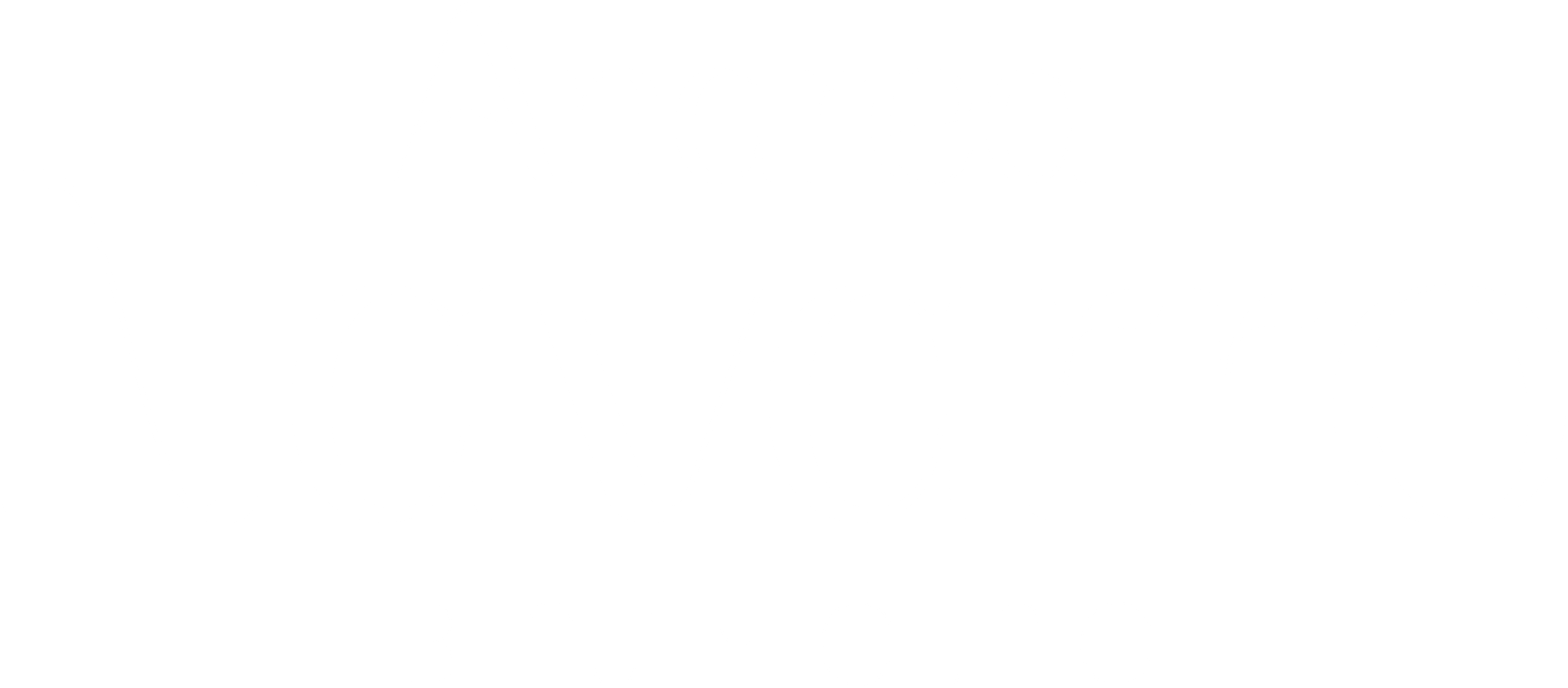Andrea Navarro