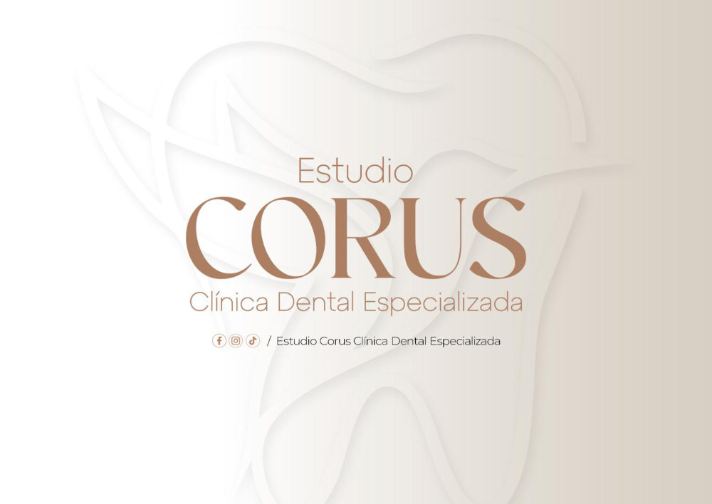 CORUS — manual de marca, página 20